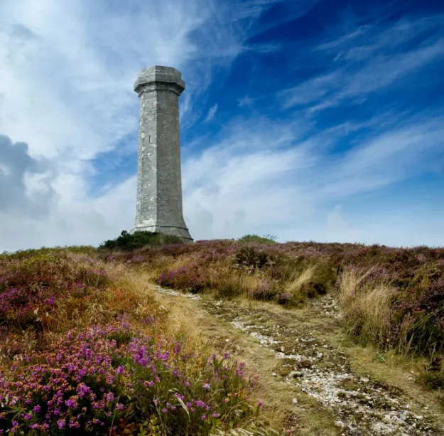 Hardy Monument