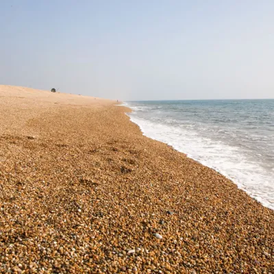 chesil beach bank