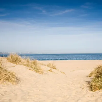 studland dunes