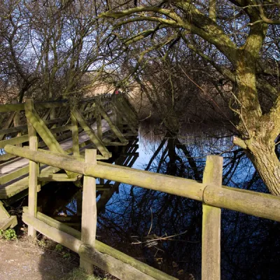 studland mangrove