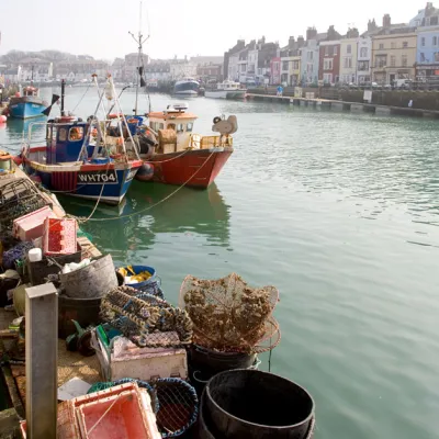 weymouth fishing