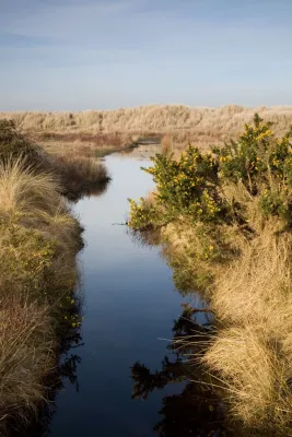 studland creek