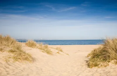 studland dunes