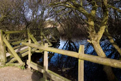 studland mangrove