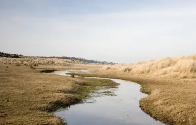 studland stream