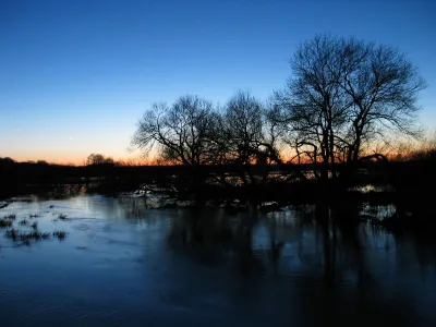 whareham floodplain