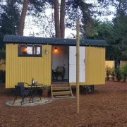 Forest Heath Shepherd's Huts