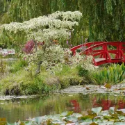 Bennetts Water Gardens