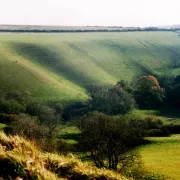 Eggardon Hill Fort