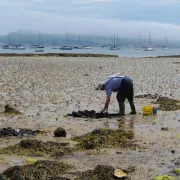 Castle Cove - Portland Harbour