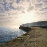 cobb lyme regis