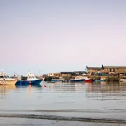 lyme regis harbour wide