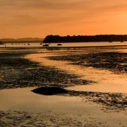 poole harbor sunset